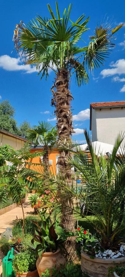 Grahl'S Ferienwohnung Markranstaedt Luaran gambar